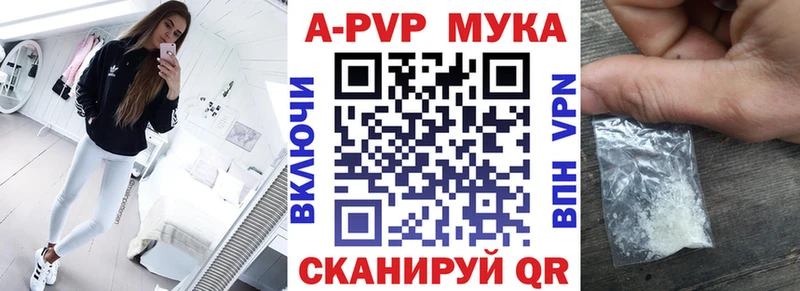 Альфа ПВП СК КРИС  Нюрба 