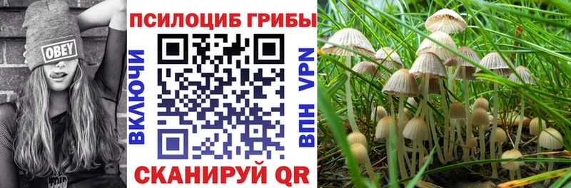 МЕГА ТОР Нюрба Псилоцибиновые грибы GOLDEN TEACHER наркота